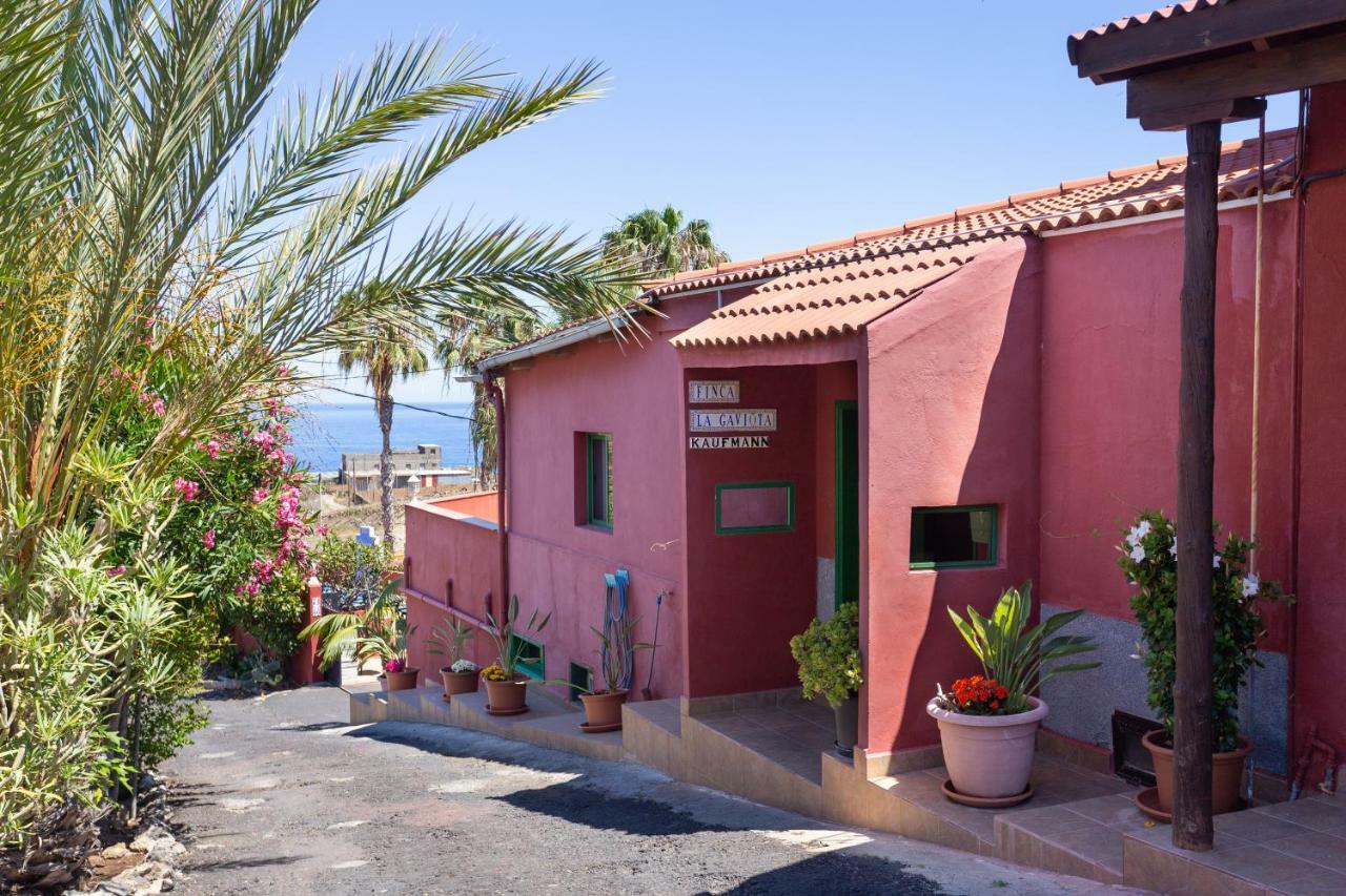 Finca La Gaviota - El Rincon Icod De Los Vinos Buitenkant foto